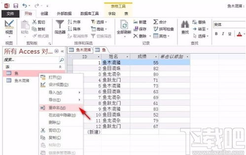 access怎么修改表名 Microsoft Office Access修改数据表名称的方法 