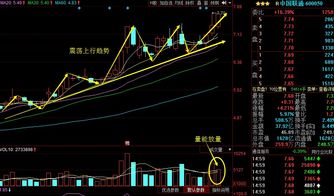 600527为什么老跌，后市什么时才上涨空间？