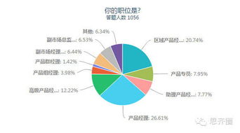 it产品经理待遇如何,揭秘IT产品经理的薪资待遇：你的付出与收获成正比吗？