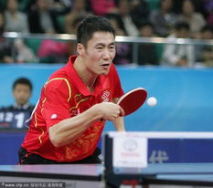2012乒乓球亚洲杯