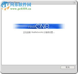 realone player播放器