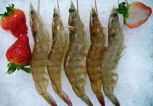 大虾的做法大全,大虾的魅力烹饪之旅：一