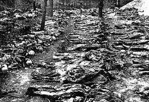二战波兰卡廷惨案,二战时期的卡廷大屠杀是苏联人制作的的吗?有多少波兰军人遇害。