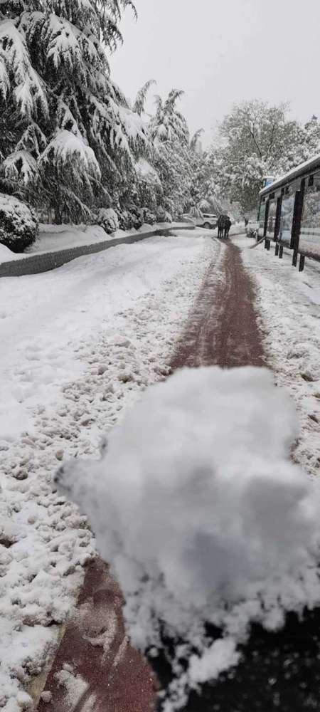 2021年立冬日,济南59年来罕见的初雪变暴雪