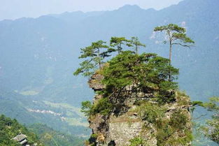 游莲花山范文,金秀莲花山自驾旅游攻略？