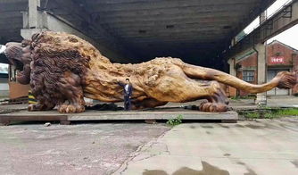 世界上最大的木雕狮子出现在中国,22名雕刻师耗时三年多完成