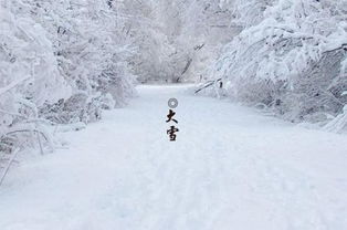 2019年大雪12月7日新生儿宝宝起名大全