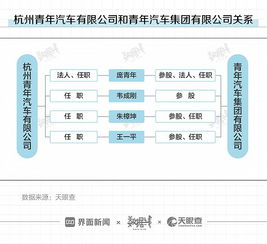 青年汽车被申请破产