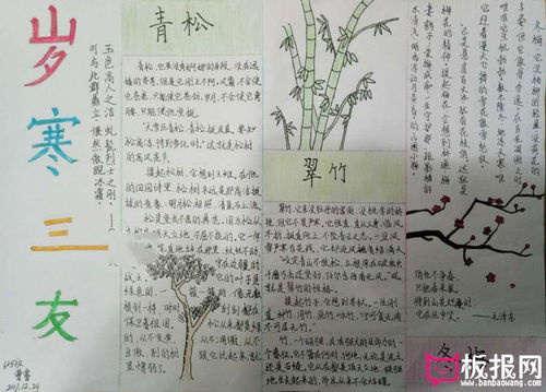 好看的冬天手抄报图片,岁寒三友