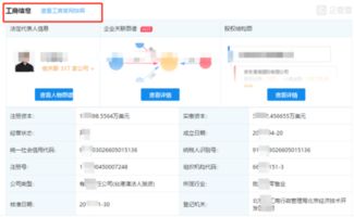 怎么在工商的网站上查询企业信息，主要是要查企业的地址，百度里查不到。