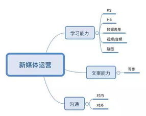 成为一个合格的新媒体人才需要什么,从新手到专家：打造新媒体人才的必备技能