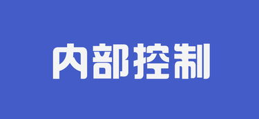 10大中国式企业风险漏洞 看看你公司有几条