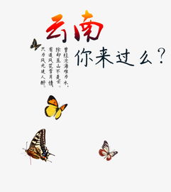 云南旅游文案排版