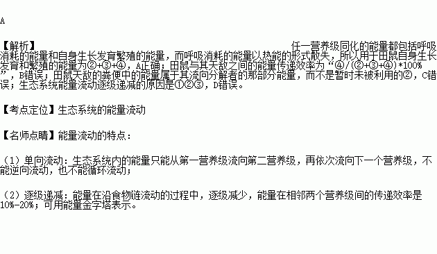 某草原生态系统中田鼠同化的能最包括①②③④四部分.其中①被转化成热能.②指未被利用的能量.③流向分解者.④流向下一营养级.下列相关叙述.正确的是 A.用于田鼠自身生长发育和繁殖的能量为 