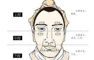 下巴的男人面相图片