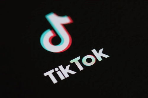 tiktok的运营涨粉_TikTok服务代理商