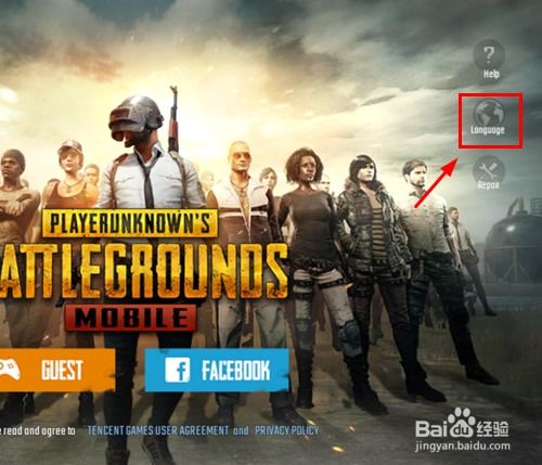  pubg国际服下载入口,PUBG国际服下载入口 法规