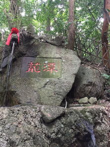 自驾游桂平西山记