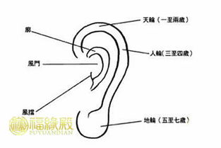 女人耳朵长痣的命运怎么样