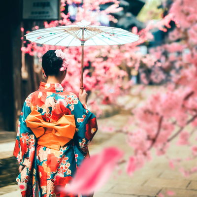 日本樱花和服