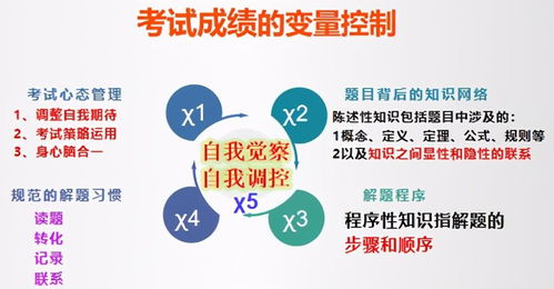 高效学习方法探讨