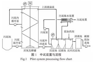 污水处理系统兼氧池为什么有大量污泥产生