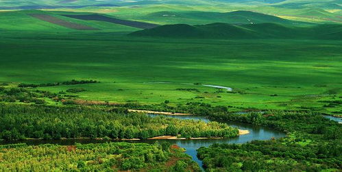 去哪感受祖国最冷的温度 哈尔滨 漠河 吉林 不,是根河