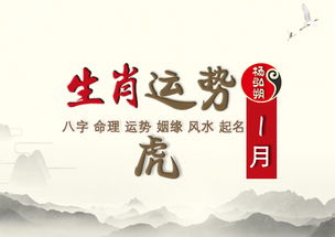 属虎2019年运势及运程