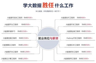 大连中软卓越学习web的学费是多少