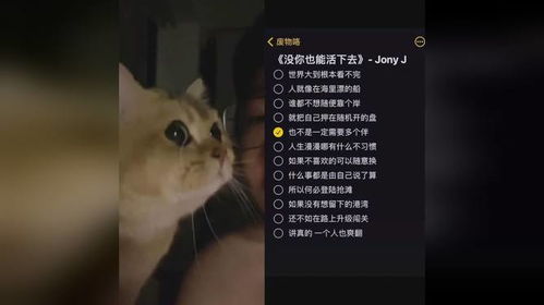 小猫咪也会感知到人类的情绪吗