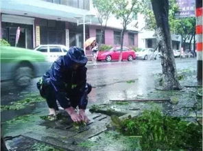 高温暴雨交替频发 重庆街头出现惊人一幕