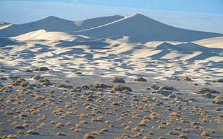 sand dune death valley,Sand Dune: The Majestic Death Valley