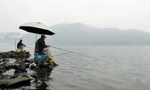 河流钓鱼走水太严重怎么办 记住去找这六个钓点