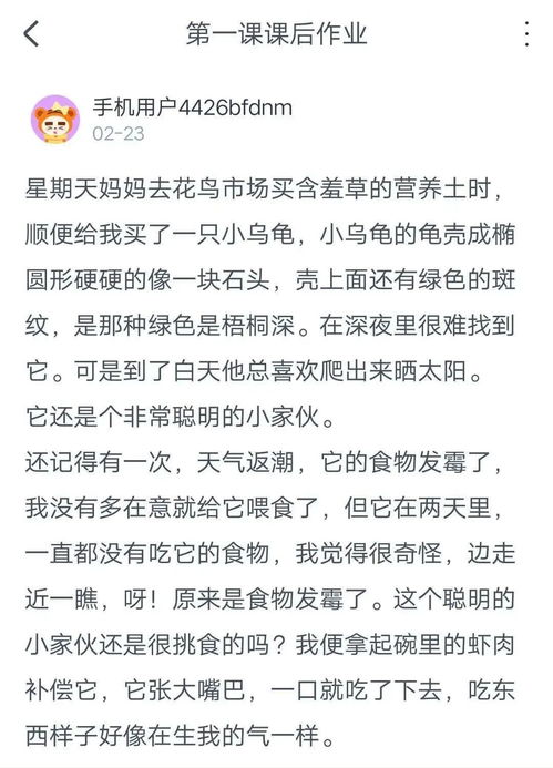 上了这个课,我才明白为什么以前写作文不生动