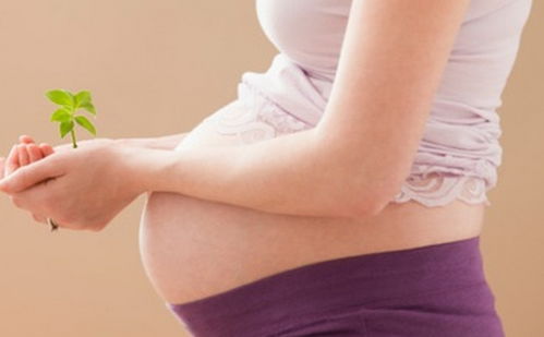 宫外孕发生多与什么有关 每位女性都该知道