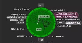 365健身江涛教练 一天中什么时候健身最有效