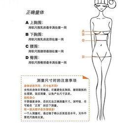 腰围怎么量 详解最正确的腰围测量方法