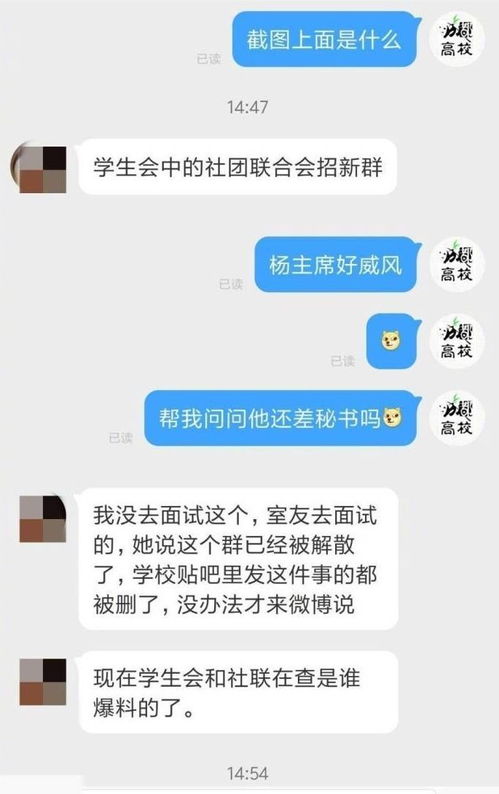 在群里提醒开会怎么写内容,微信怎么在群里通知开会?