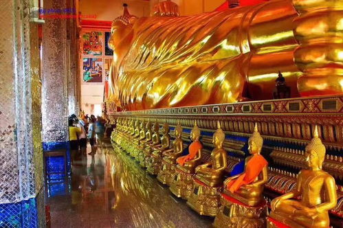 聚缘泰佛为你揭晓泰国寺庙与佛牌机构恭请佛牌的内幕