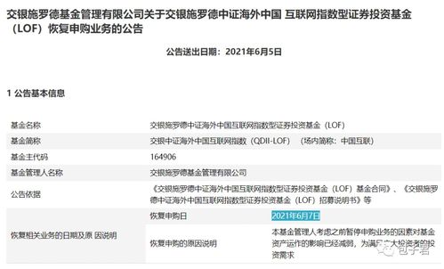 网上申购的基金从哪里查看已购买到的基金