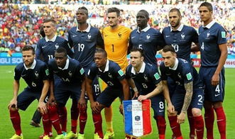 2016欧洲杯法国队员,2016年欧洲杯法国队有哪些球员参加