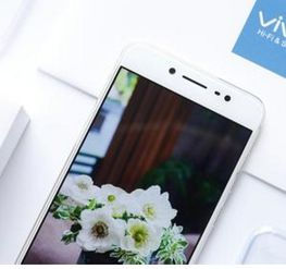 vivo y67手机屏幕上显示hd是什么意思 