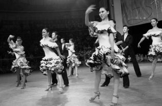拉丁舞蹈培训学校,舞动热情，燃烧激情——探访这家引领拉丁舞蹈潮流的培训学校！