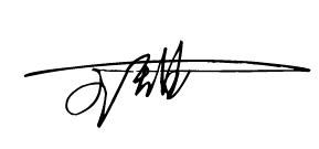 帮我设计一个艺术签名 名叫王甜 