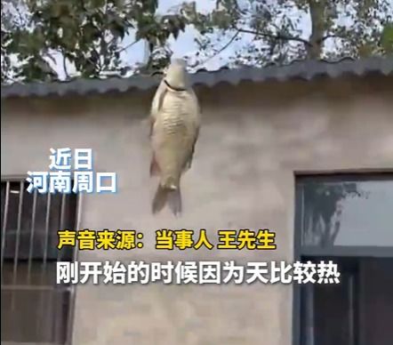 男子创新尝试无人机钓鱼，引发热议与反思  第2张