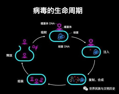 病毒下载下载