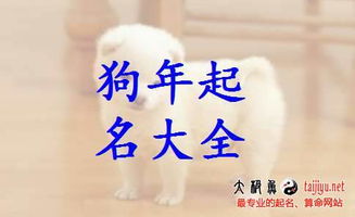 2018狗年好听的宝宝名字大全