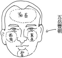 手面相看何种男人事业金钱两如意