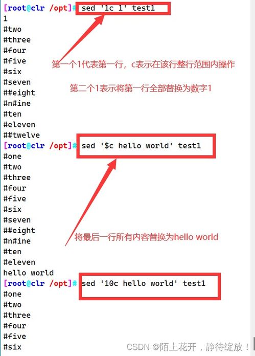 shell脚本执行命令, shell脚本执行命令的概要  第6张