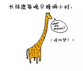 冷知识,被这些萌蠢の漫画诠释的淋漓尽致 